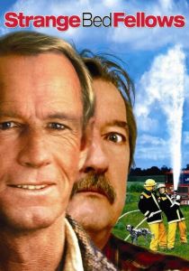 Странная парочка (2004)
