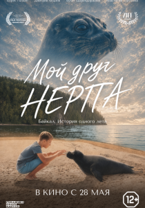 Мой друг нерпа (Фильм 2025)