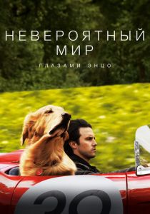Невероятный мир глазами Энцо (Фильм 2019)